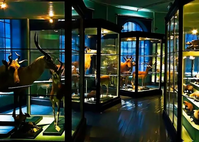 Spacious Historical Art Oasis In The City Center